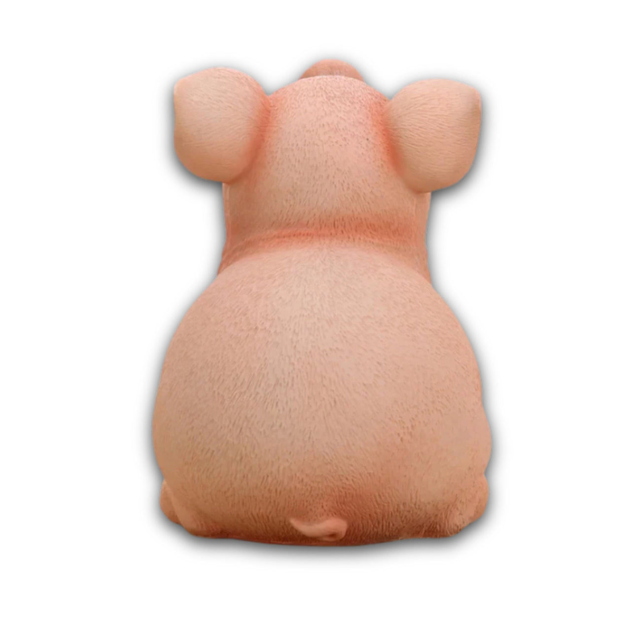 Cochon Tirelire XXL 3