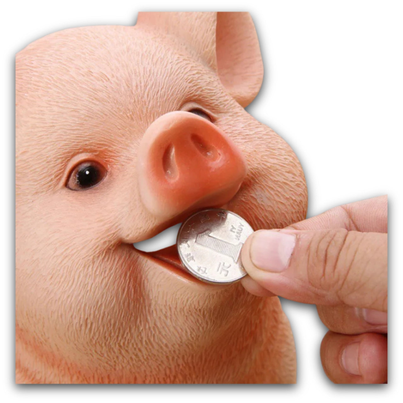 Cochon Tirelire XXL 4